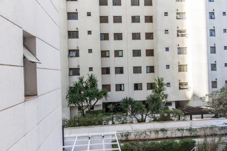 Apartamento para alugar com 232m², 3 quartos e 3 vagas Apartamento para alugar com 232m², 3 quartos e 3 vagasVista Suíte 3