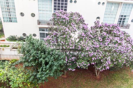 Apartamento para alugar com 232m², 3 quartos e 3 vagas Apartamento para alugar com 232m², 3 quartos e 3 vagasVista da Suíte 1