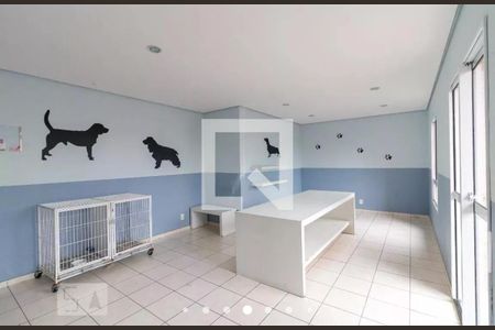 Apartamento à venda com 77m², 3 quartos e 2 vagas Apartamento à venda com 77m², 3 quartos e 2 vagasÁrea Comum - Espaço pet