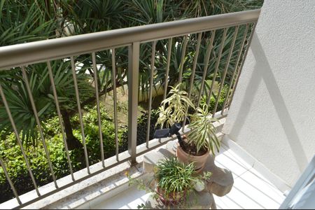 Apartamento à venda com 92m², 3 quartos e 1 vaga Apartamento à venda com 92m², 3 quartos e 1 vagaVaranda da Suíte