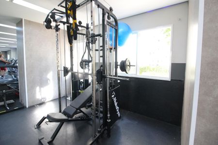 Apartamento à venda com 74m², 3 quartos e 1 vagaÁrea comum - Academia