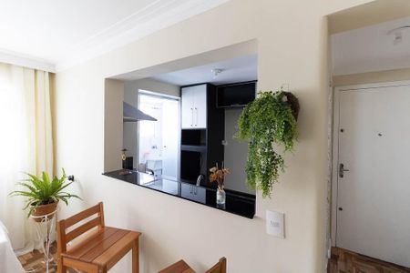 Apartamento à venda com 70m², 2 quartos e 1 vaga Apartamento à venda com 70m², 2 quartos e 1 vagaCozinha