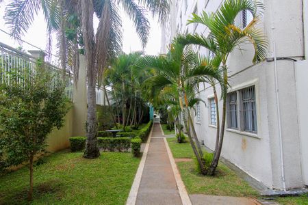 Apartamento à venda com 53m², 3 quartos e 1 vaga Apartamento à venda com 53m², 3 quartos e 1 vagaÁrea comum