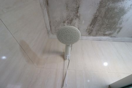 Casa à venda com 187m², 3 quartos e 4 vagasBanheiro da Suíte - Chuveiro