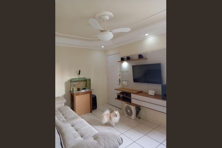 Apartamento à venda com 54m², 2 quartos e 1 vagaFoto 11