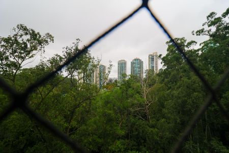 Apartamento para alugar com 207m², 4 quartos e 3 vagas Apartamento para alugar com 207m², 4 quartos e 3 vagasVista da Suíte 1