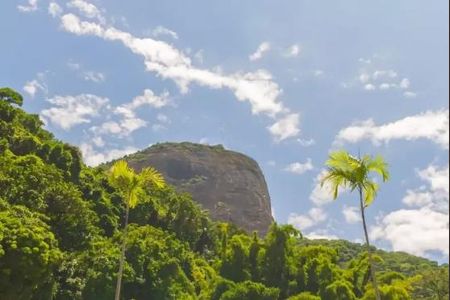 Apartamento à venda com 225m², 3 quartos e 2 vagas