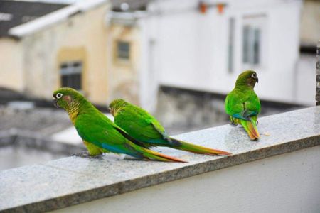 Apartamento à venda com 164m², 4 quartos e 1 vaga