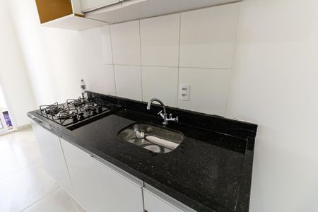 Apartamento para alugar com 29m², 1 quarto e sem vagaCozinha
