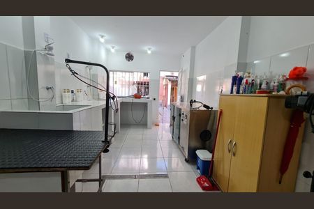 Casa à venda com 263m², 3 quartos e 1 vaga
