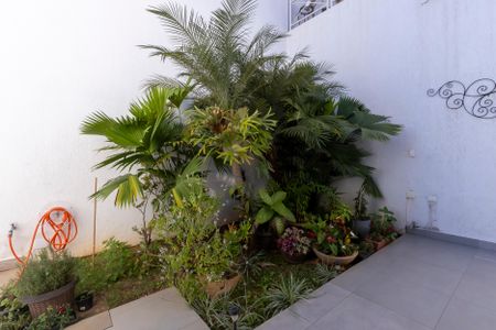 Casa para alugar com 400m², 3 quartos e 2 vagas Casa para alugar com 400m², 3 quartos e 2 vagasÁrea externa