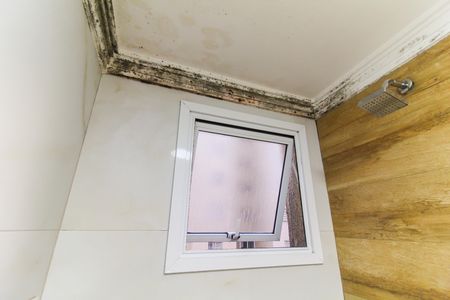 Apartamento à venda com 52m², 2 quartos e 1 vagaBanheiro