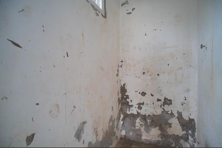 Casa à venda com 366m², 8 quartos e 1 vagaDespensa