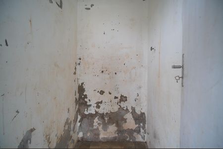 Casa à venda com 366m², 8 quartos e 1 vagaDespensa