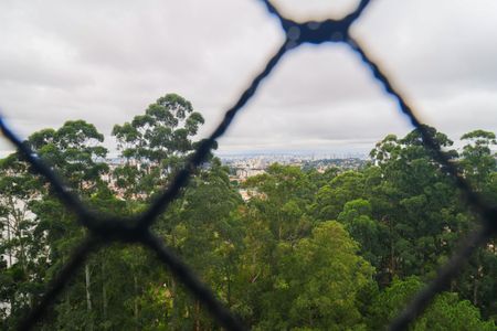 Apartamento para alugar com 520m², 3 quartos e 4 vagas Apartamento para alugar com 520m², 3 quartos e 4 vagasVista da Varanda da Sala