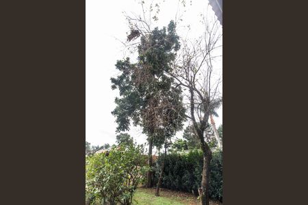 Casa à venda com 480m², 4 quartos e 4 vagasQuintal