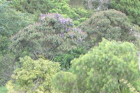 Casa de condomínio à venda com 350m², 4 quartos e 4 vagas