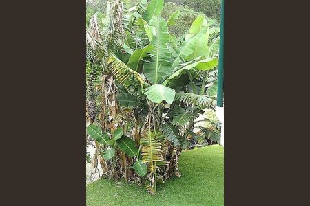 Casa de condomínio à venda com 350m², 4 quartos e 4 vagas