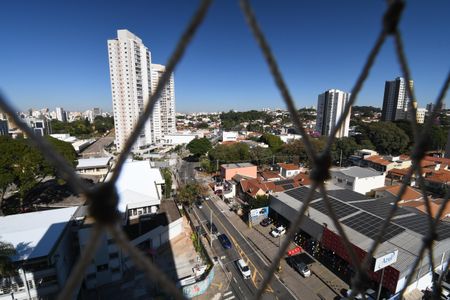 Apartamento para alugar com 75m², 3 quartos e 1 vagaSuíte Vista