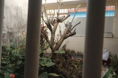 Casa à venda com 280m², 6 quartos e 3 vagasVista da Sala