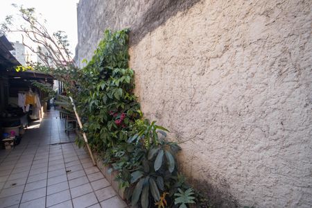 Casa à venda com 178m², 4 quartos e 2 vagas Casa à venda com 178m², 4 quartos e 2 vagasQuintal