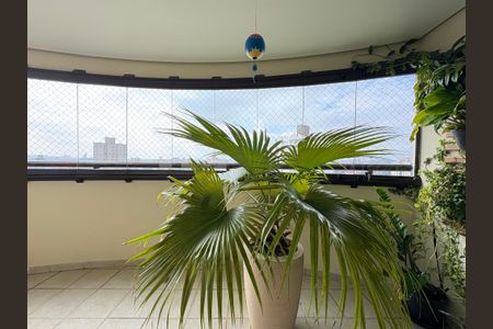 Apartamento à venda com 142m², 3 quartos e 7 vagas Apartamento à venda com 142m², 3 quartos e 7 vagasSacada