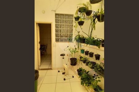 Apartamento à venda com 75m², 2 quartos e sem vaga