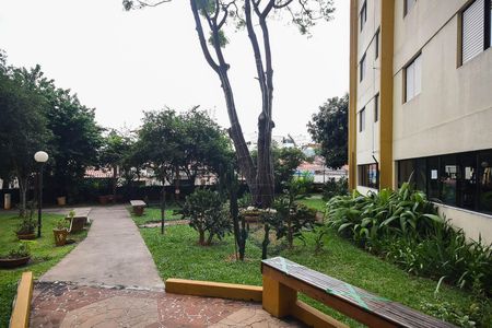 Apartamento à venda com 68m², 3 quartos e 1 vaga Apartamento à venda com 68m², 3 quartos e 1 vagaJardim