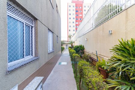 Apartamento à venda com 50m², 2 quartos e 1 vaga Apartamento à venda com 50m², 2 quartos e 1 vagaÁrea externa