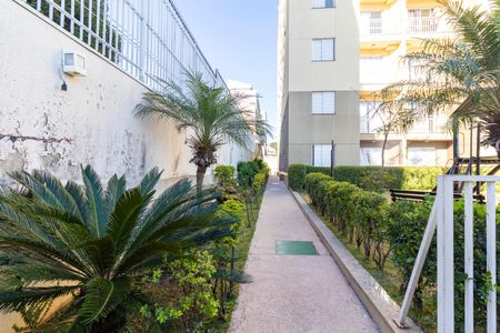 Apartamento à venda com 50m², 2 quartos e 1 vaga Apartamento à venda com 50m², 2 quartos e 1 vagaÁrea externa