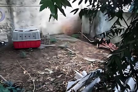 Casa à venda com 241m², 4 quartos e 5 vagas