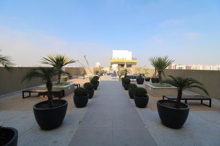 Apartamento à venda com 55m², 3 quartos e 1 vagaÁrea Comum