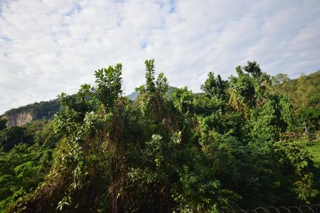 Apartamento à venda com 41m², 2 quartos e 1 vagaVista Quarto 1