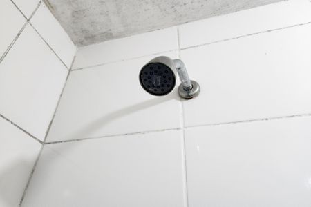 Apartamento à venda com 48m², 2 quartos e 1 vagaBanheiro