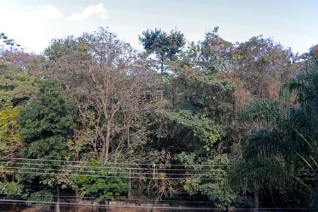 Casa de condomínio para alugar com 300m², 4 quartos e 3 vagasVista da Varanda