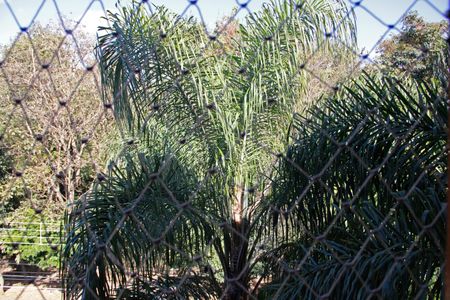 Casa de condomínio para alugar com 300m², 4 quartos e 3 vagasVista da Suíte 1