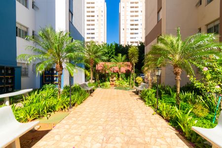 Apartamento à venda com 64m², 3 quartos e 1 vaga Apartamento à venda com 64m², 3 quartos e 1 vagaÁrea comum