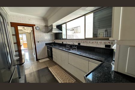 Apartamento à venda com 304m², 3 quartos e 3 vagasCozinha