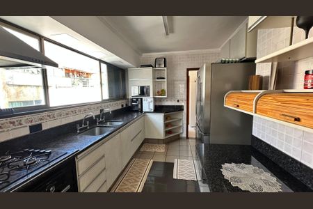 Apartamento à venda com 304m², 3 quartos e 3 vagasCozinha