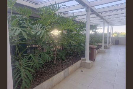 Apartamento à venda com 81m², 3 quartos e 1 vaga