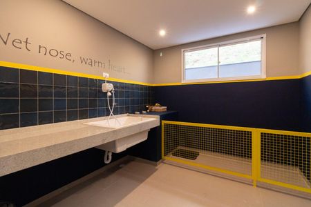 Apartamento para alugar com 41m², 2 quartos e sem vagaPet care