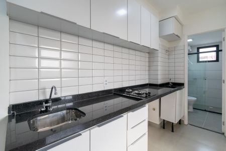 Apartamento para alugar com 44m², 2 quartos e sem vaga Apartamento para alugar com 44m², 2 quartos e sem vagaCozinha