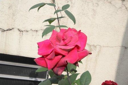 Casa à venda com 180m², 3 quartos e 4 vagas