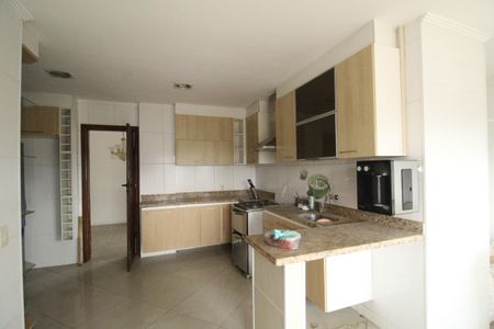 Apartamento à venda com 377m², 3 quartos e 2 vagasCozinha
