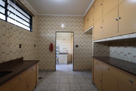 Casa para alugar com 262m², 5 quartos e 5 vagas Casa para alugar com 262m², 5 quartos e 5 vagasCozinha