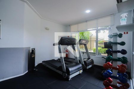 Apartamento à venda com 110m², 3 quartos e 2 vagas Apartamento à venda com 110m², 3 quartos e 2 vagasÁrea comum - Academia