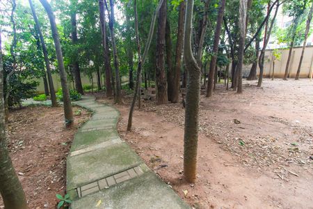 Apartamento à venda com 65m², 3 quartos e 1 vaga Apartamento à venda com 65m², 3 quartos e 1 vagaBosque