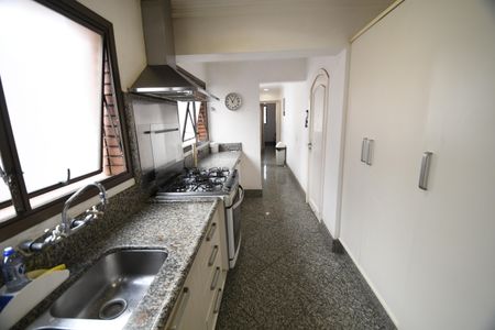 Apartamento para alugar com 221m², 5 quartos e 2 vagasCozinha