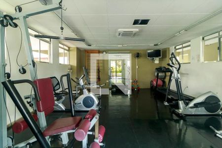 Apartamento para alugar com 105m², 3 quartos e 1 vaga Apartamento para alugar com 105m², 3 quartos e 1 vagaÁrea comum - Academia