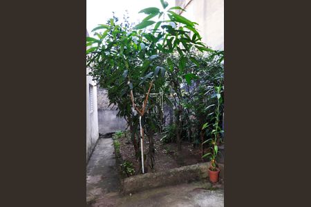 Casa à venda com 250m², 2 quartos e 3 vagas Casa à venda com 250m², 2 quartos e 3 vagasÁrea comum